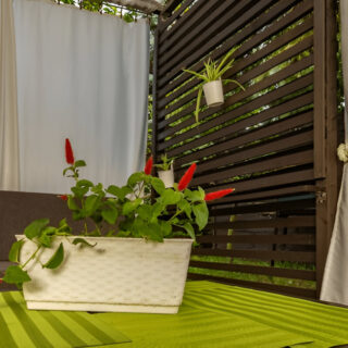 Diy pergola sydney