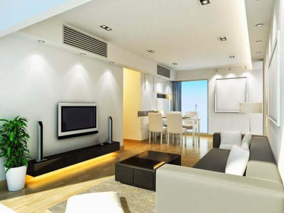 Duct heating system