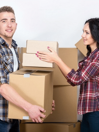 Removalists