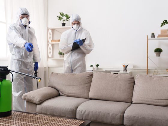 Pest Control