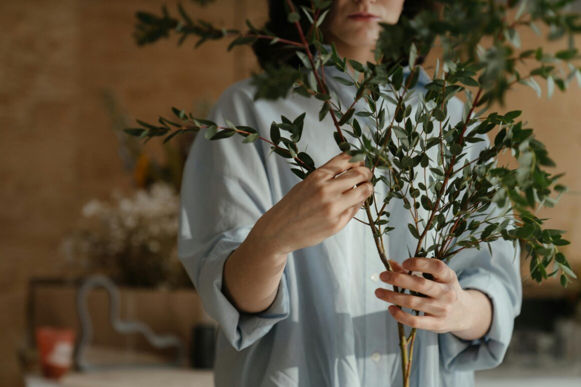 Indoor Garden