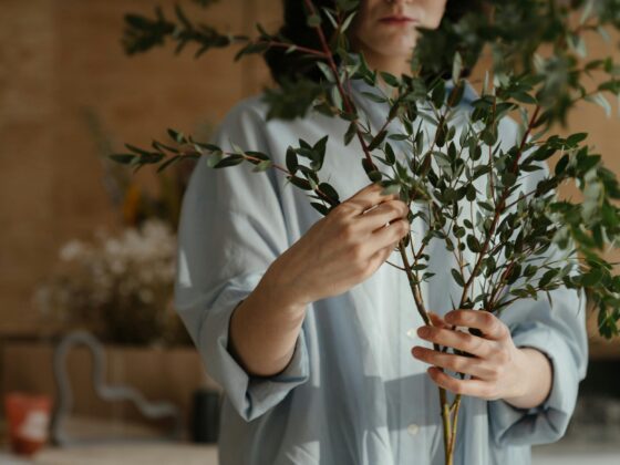 Indoor Garden