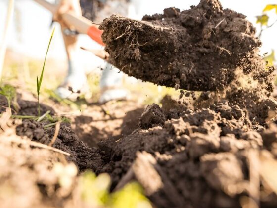 Compost Bulka Bags Melbourne