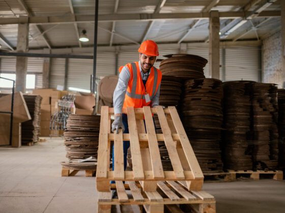 timber pallets