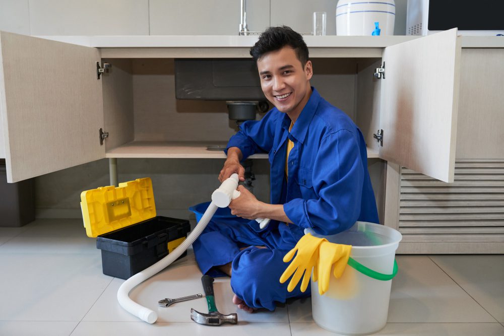 plumber sandringham