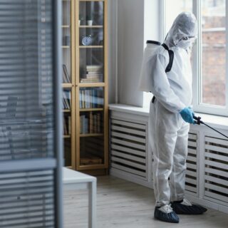 Termite Control