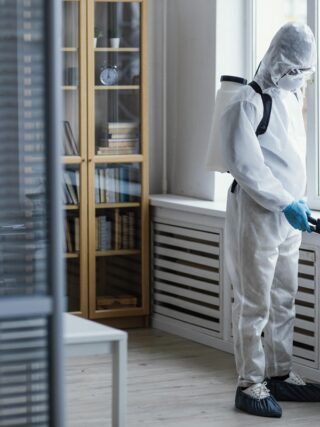 Termite Control