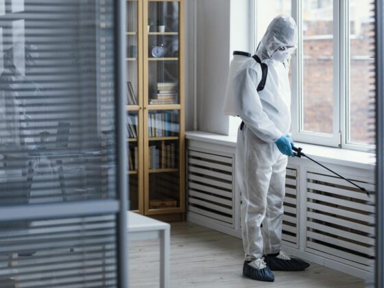 Termite Control