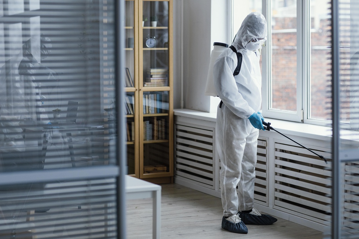 Termite Control