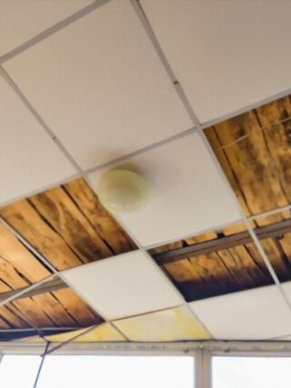 Acoustic ceiling melbourne
