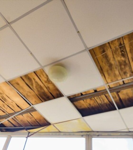 Acoustic ceiling melbourne
