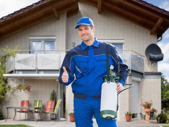 Pest Control