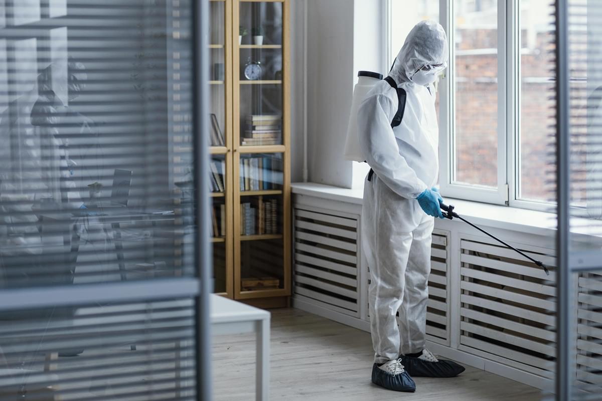 Termite Control