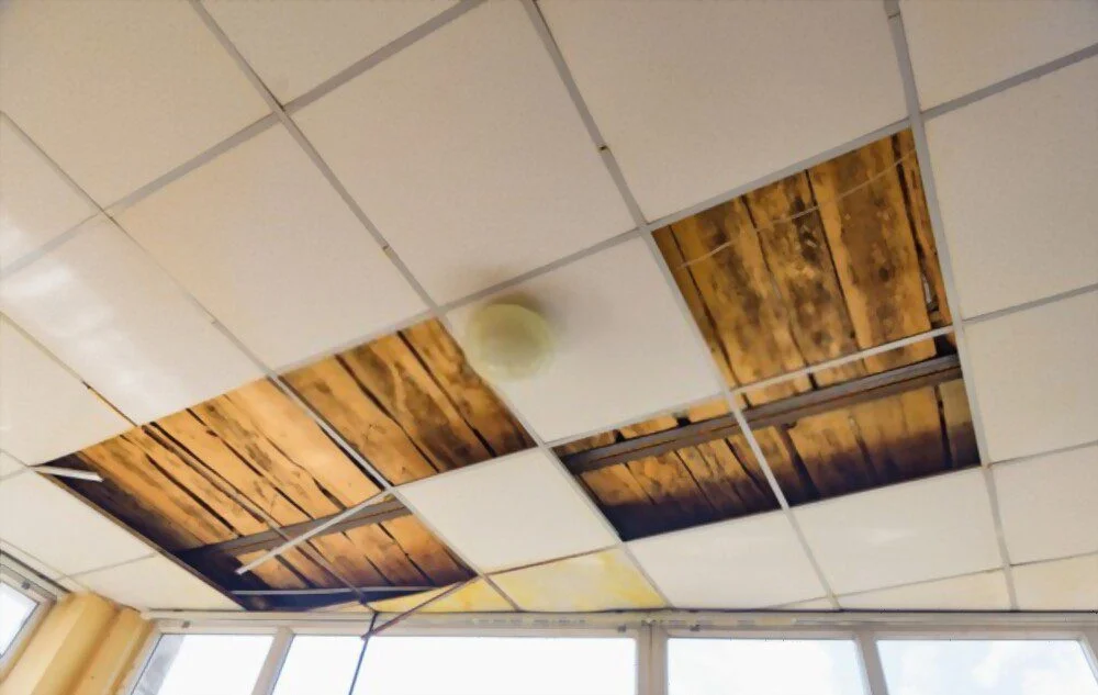Acoustic ceiling melbourne